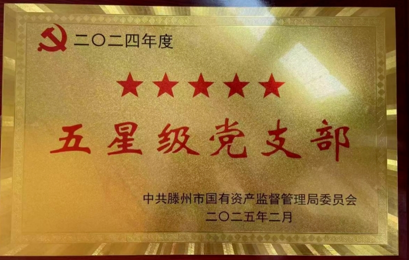 【喜报】信华集团4个党支部获评“五星级党支部”