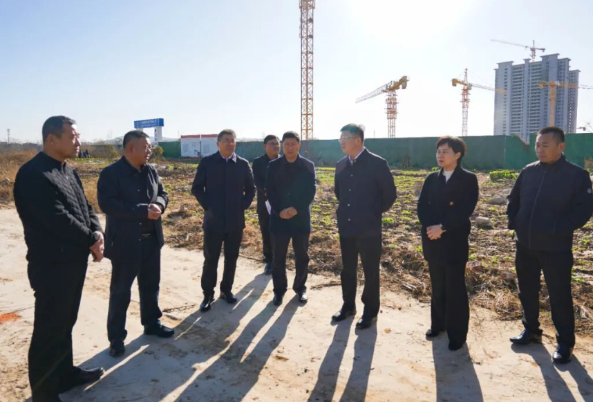 赵炜到信华发展公司调研孟尝君路建设工作