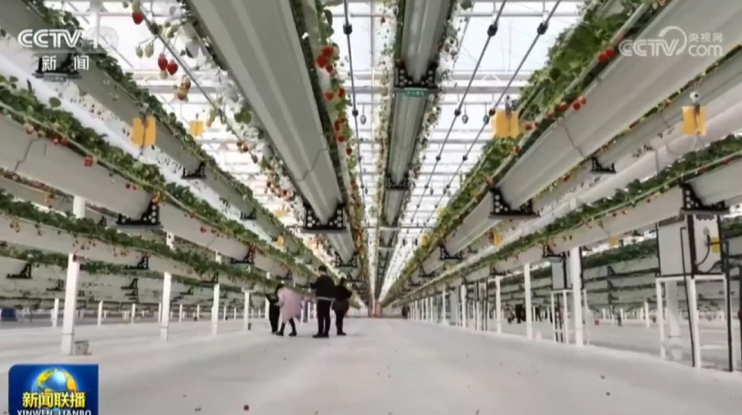 信华新格林高效现代农业产业园亮相央视《新闻联播》！