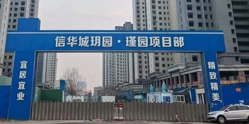 赵炜到信华发展公司调研项目建设情况